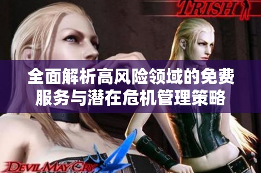 全面解析高风险领域的免费服务与潜在危机管理策略