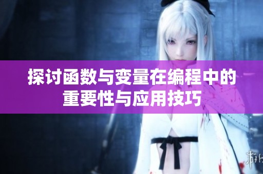 探讨函数与变量在编程中的重要性与应用技巧