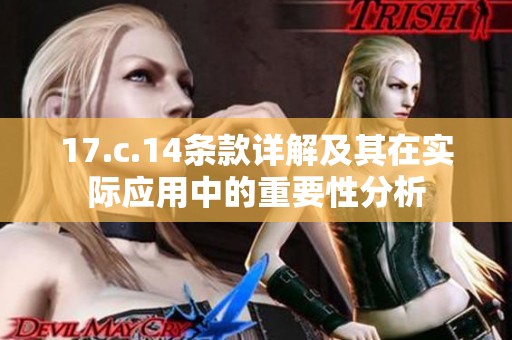 17.c.14条款详解及其在实际应用中的重要性分析