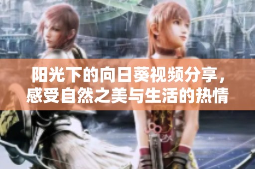 阳光下的向日葵视频分享，感受自然之美与生活的热情