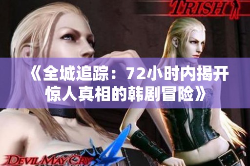 《全城追踪：72小时内揭开惊人真相的韩剧冒险》