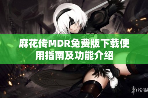 麻花传MDR免费版下载使用指南及功能介绍