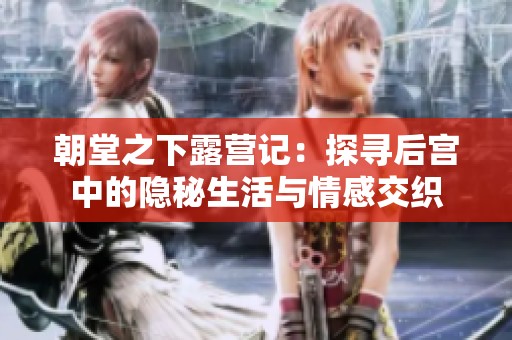 朝堂之下露营记：探寻后宫中的隐秘生活与情感交织