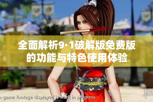 全面解析9·1破解版免费版的功能与特色使用体验