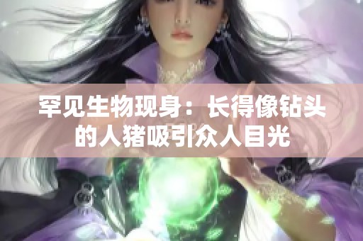 罕见生物现身：长得像钻头的人猪吸引众人目光