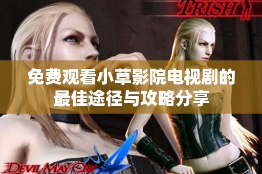 免费观看小草影院电视剧的最佳途径与攻略分享