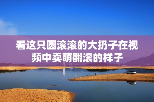 看这只圆滚滚的大扔子在视频中卖萌翻滚的样子