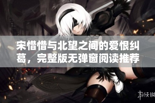 宋惜惜与北望之间的爱恨纠葛，完整版无弹窗阅读推荐